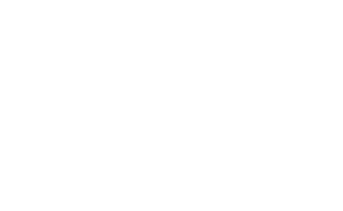 Leone Investments